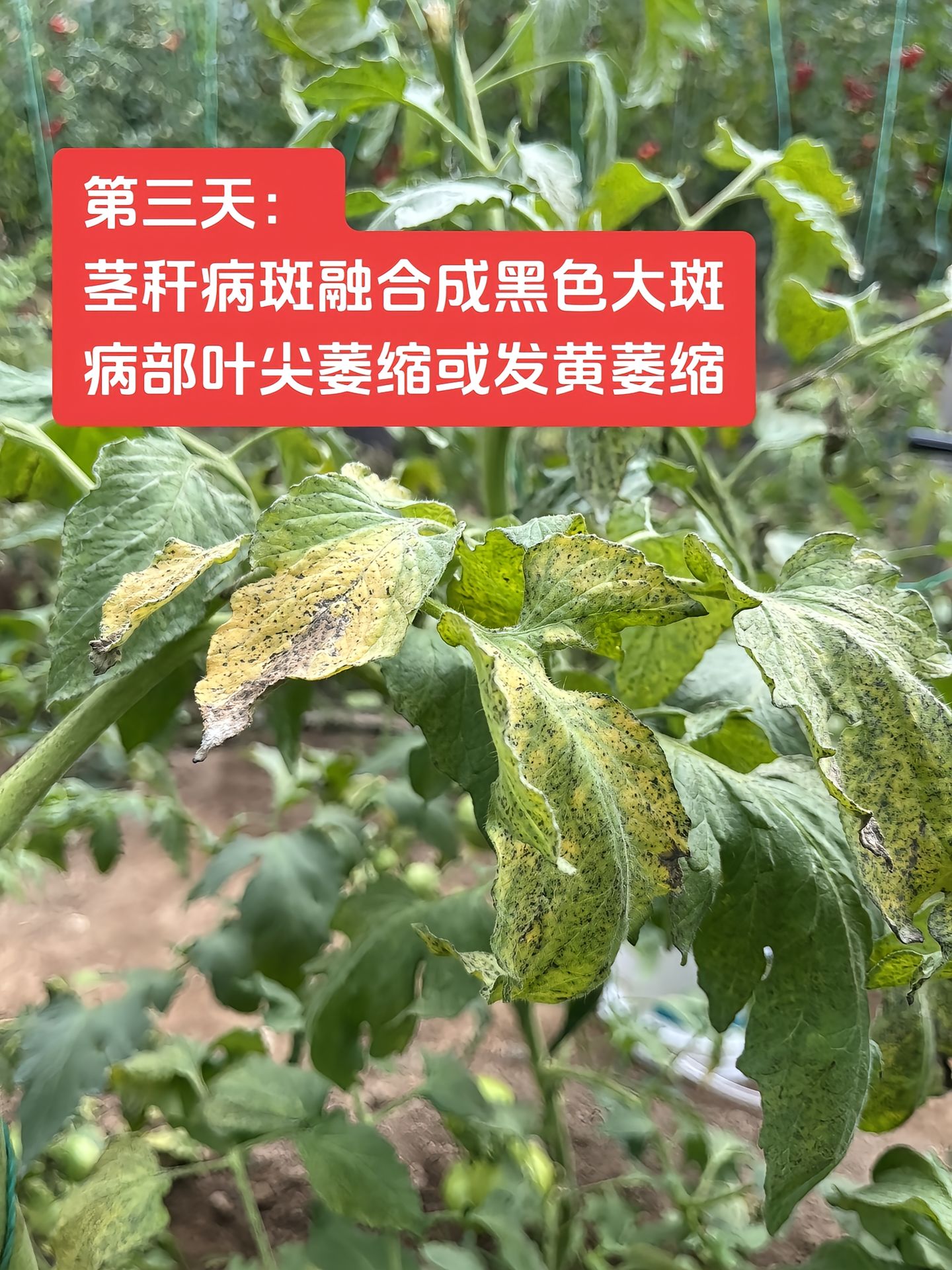 https://static.ixuenong.com/pxn/uploads/prod/thirdfile/2025/04/f8895b827520785156c14cdd71e03500.jpg