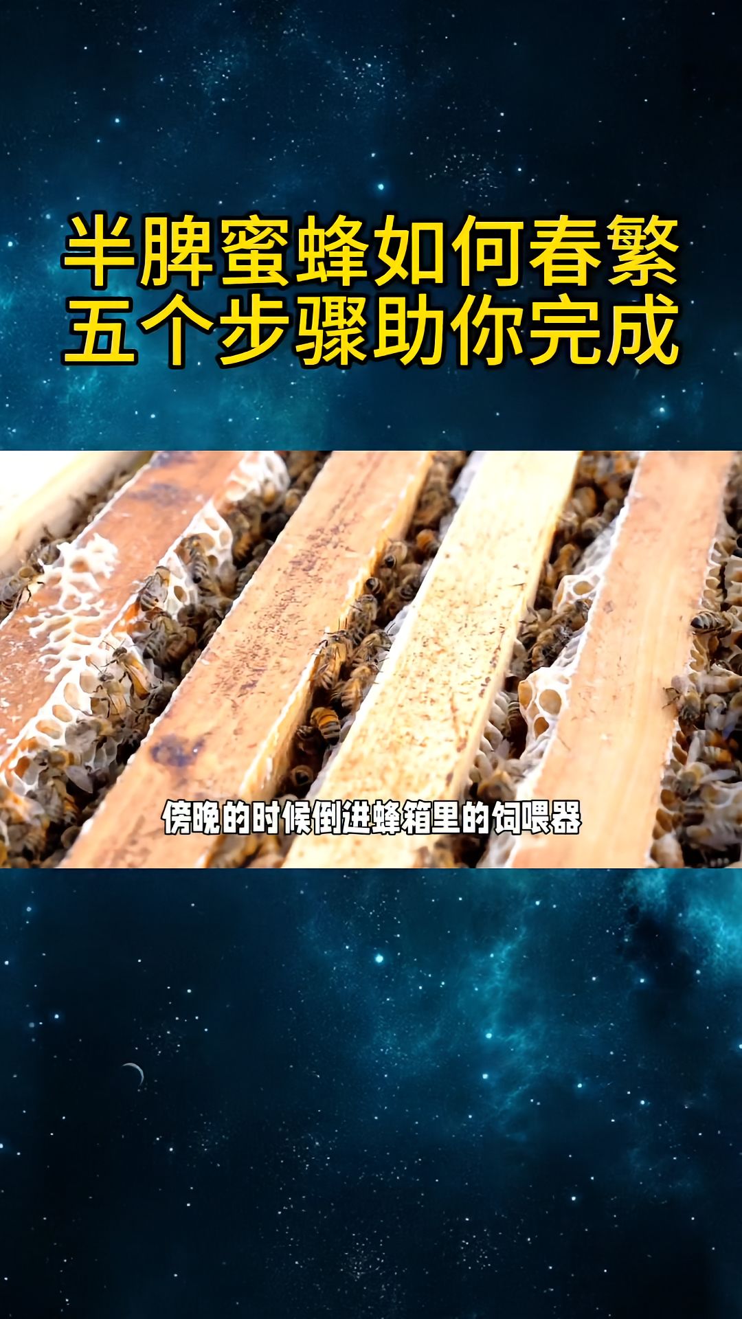 https://static.ixuenong.com/pxn/uploads/prod/thirdfile/2025/04/f8ff43200c9dd91d90b392410aed02f7.jpg