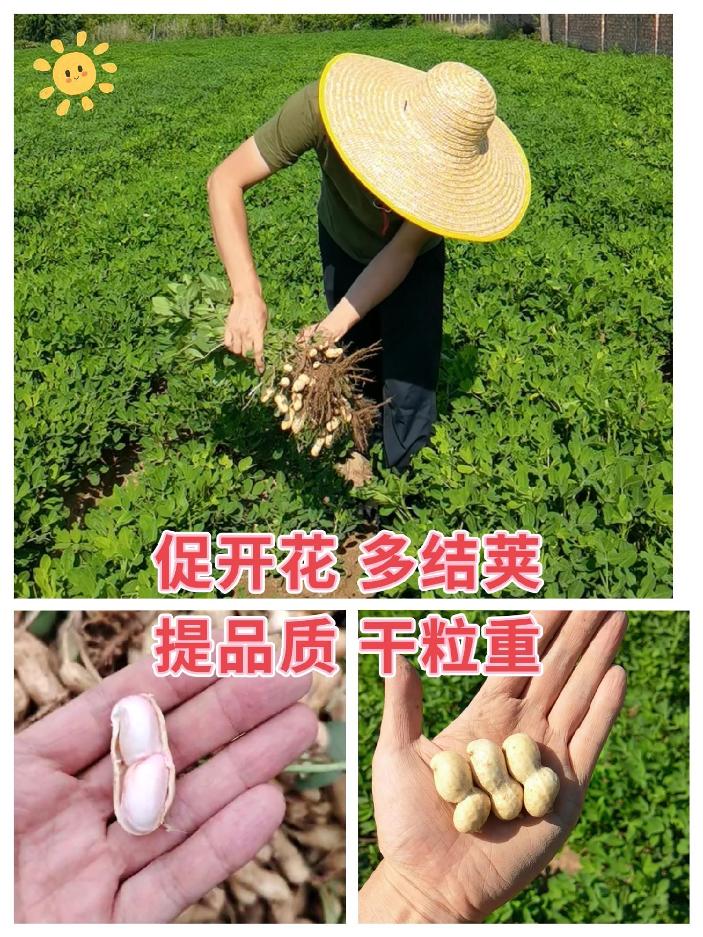 https://static.ixuenong.com/pxn/uploads/prod/thirdfile/2025/05/02a77b3322c1422d56a1f702cabcbe13.jpg