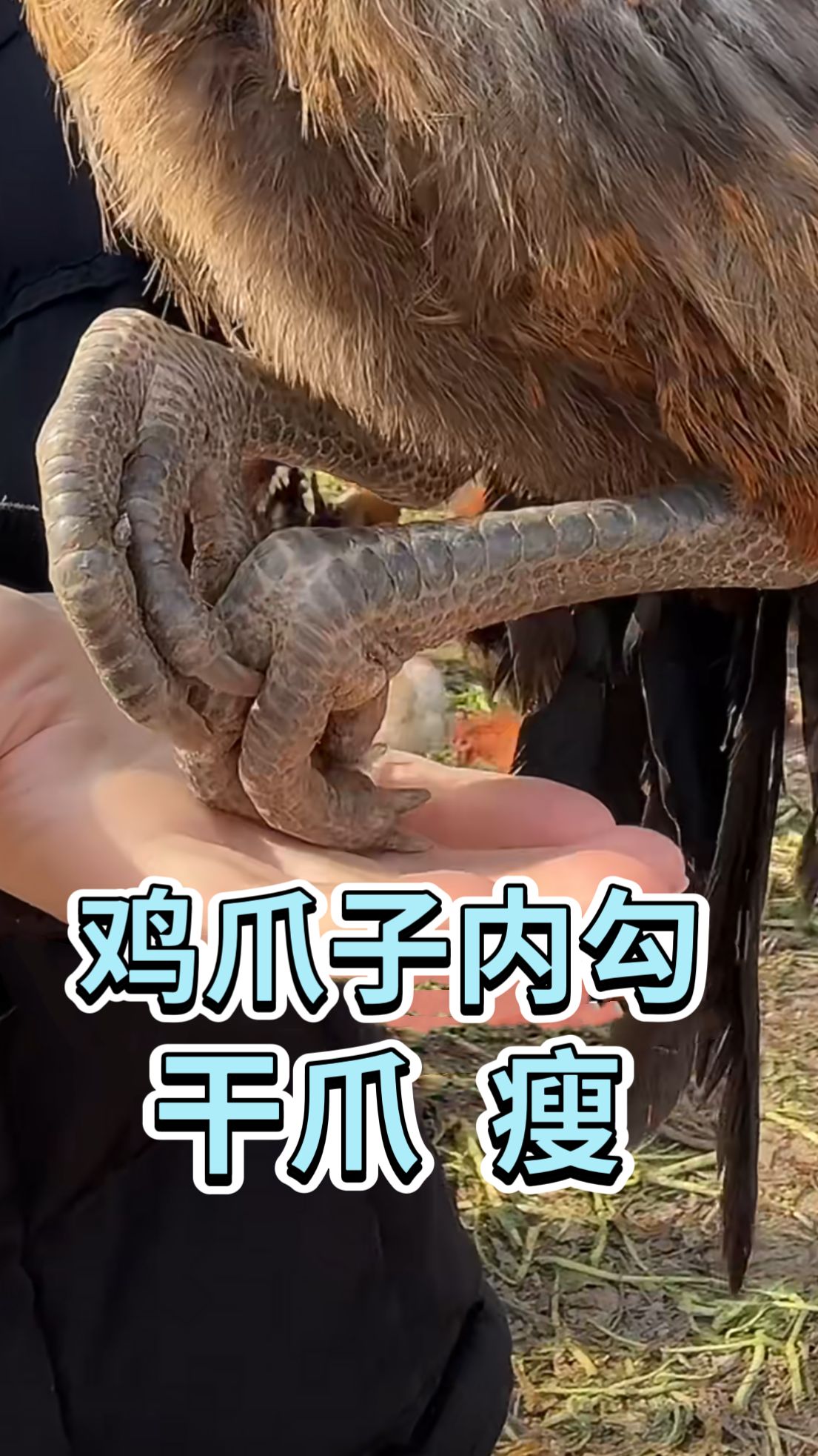 https://static.ixuenong.com/pxn/uploads/prod/thirdfile/2025/05/0382b6e5f9f8e1d56ba80af7ebe033b3.jpg
