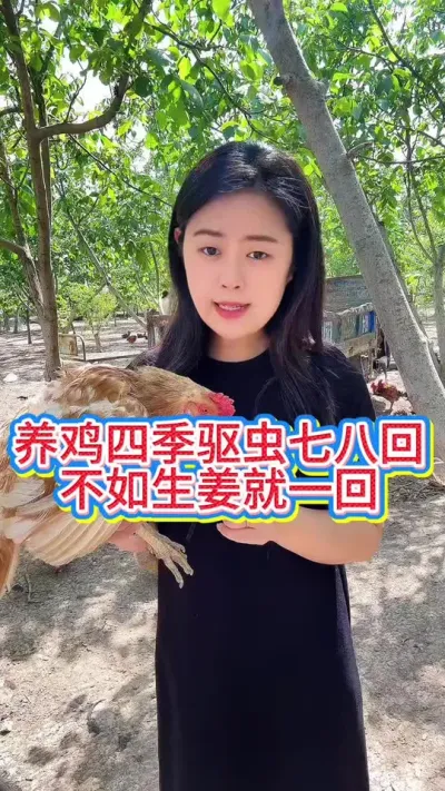 #养鸡妙招#科学养鸡#散养土鸡#鸡鸭鹅养殖#鸡驱虫