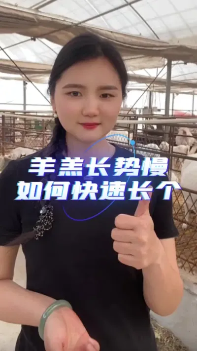 �⽩�ٳ�#������ #����ҵ #�������� #����