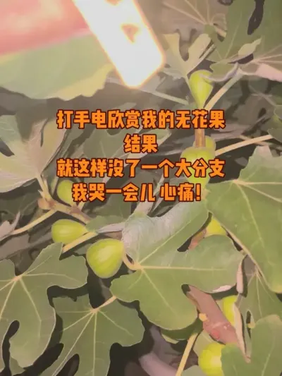 ϵͻȻΪϵ˶ϿԤҲ̧֦ҲԼ׶ǹ#޻