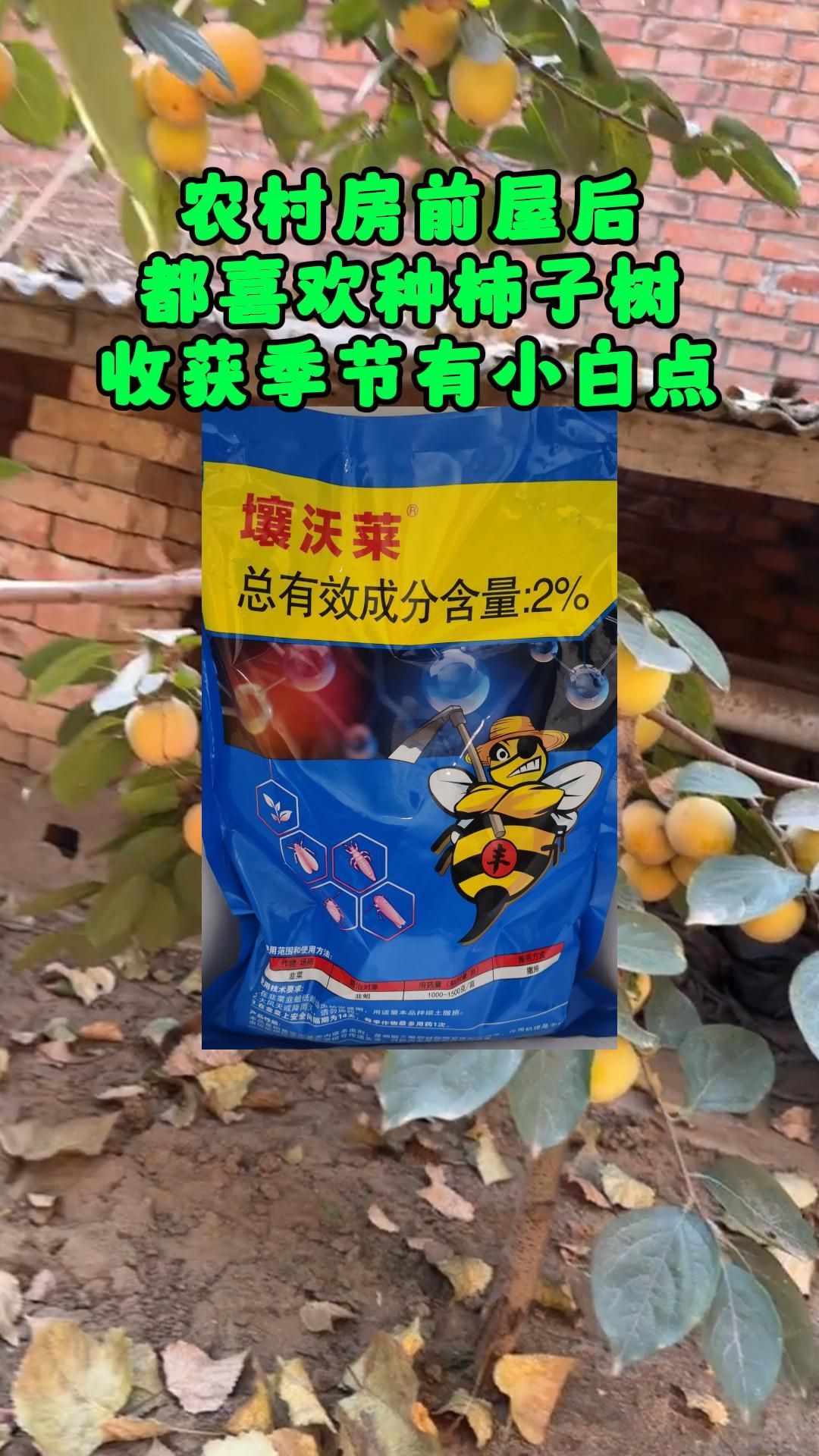 https://static.ixuenong.com/pxn/uploads/prod/thirdfile/2025/05/0a6b97c85d1a1be5fdf1d50bd1edcc16.jpg