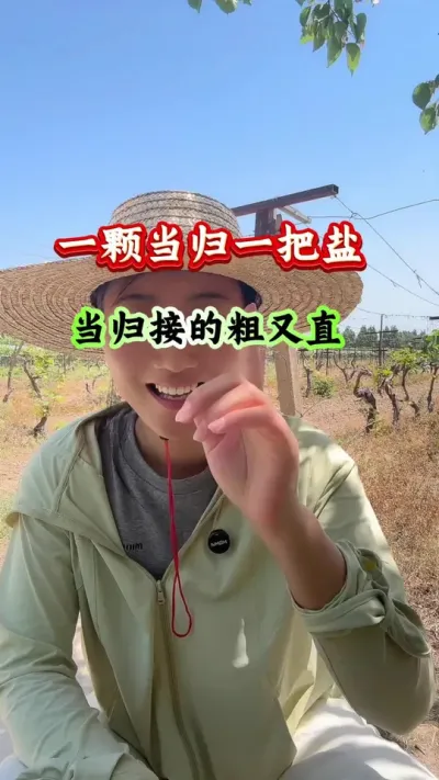 当归种植 一颗当归一把盐当归接的粗又直 #当归种植 #当归管理 #当归高产 #药材种植