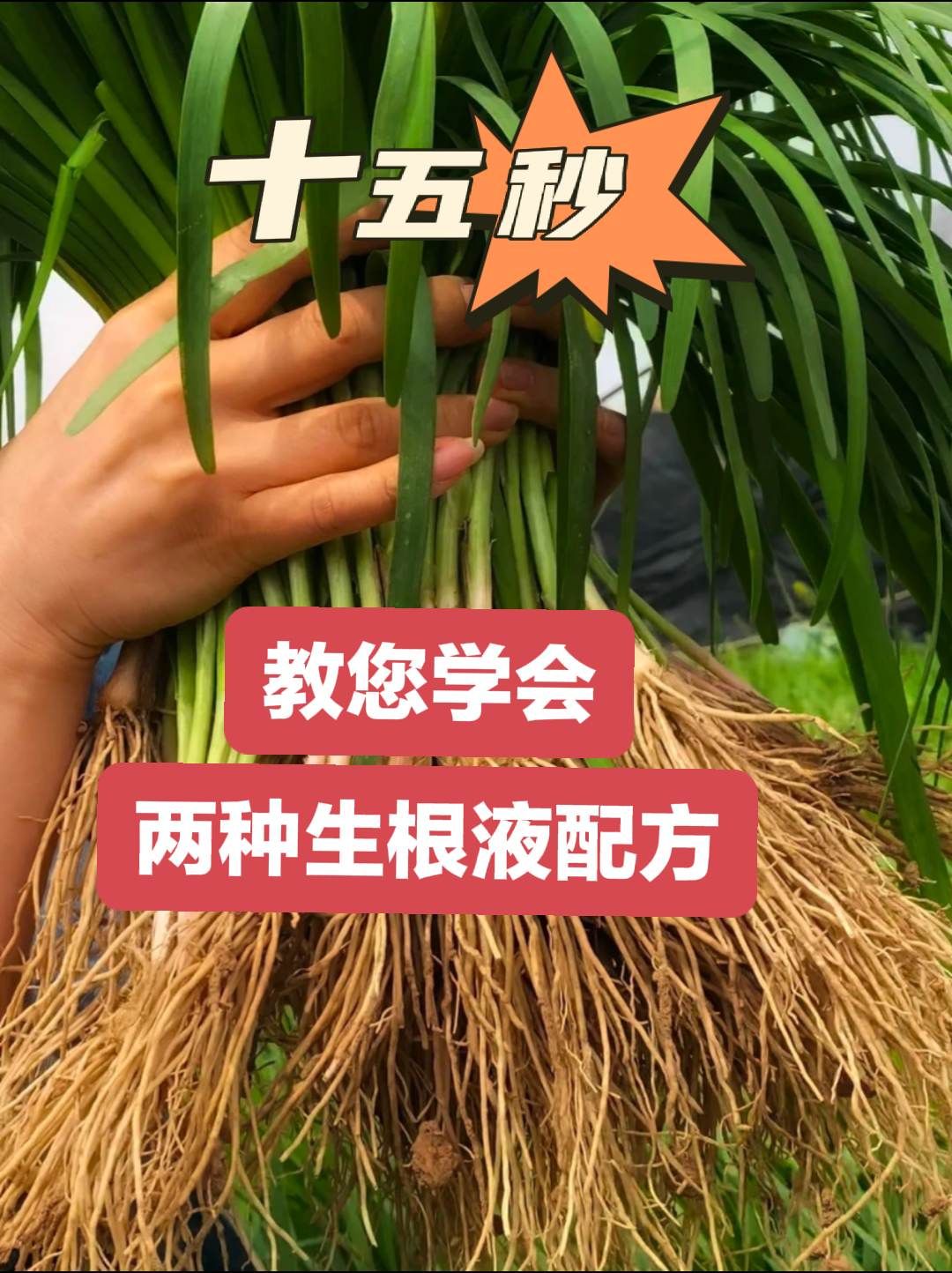 https://static.ixuenong.com/pxn/uploads/prod/thirdfile/2025/05/0b5fe11f94b9c06d91ee779c90665da6.jpg