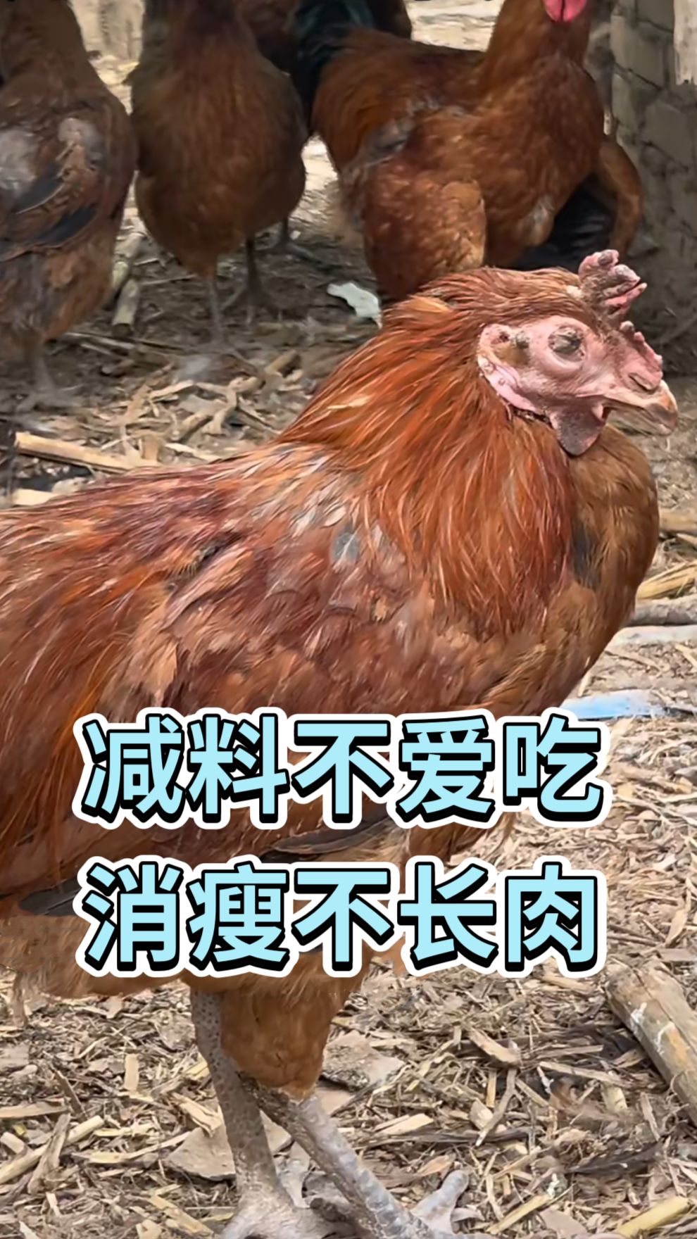 https://static.ixuenong.com/pxn/uploads/prod/thirdfile/2025/05/0c291729122940ae86be2cf617a6b4d9.jpg