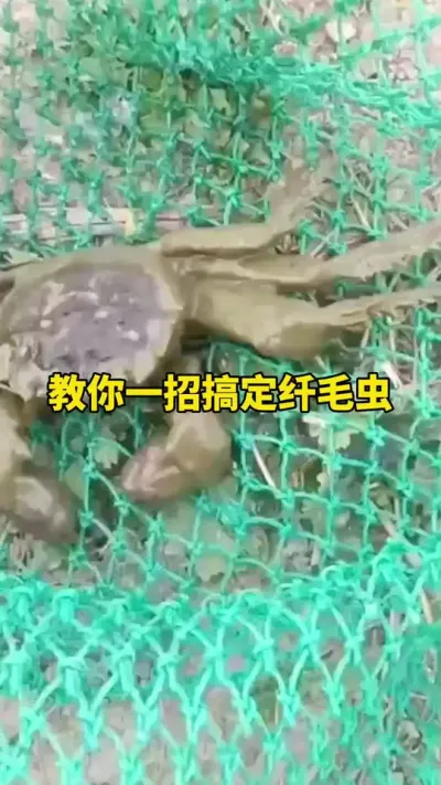 зë治ð#зֳ #зֳ #ˮ #ũ @DOU+С @??ű?dou+