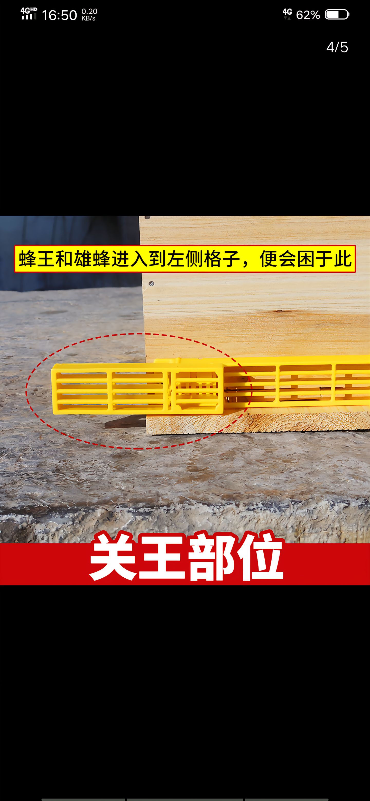 https://static.ixuenong.com/pxn/uploads/prod/thirdfile/2025/05/0de30ea6ca7e0c6af319eec45c600013.jpg