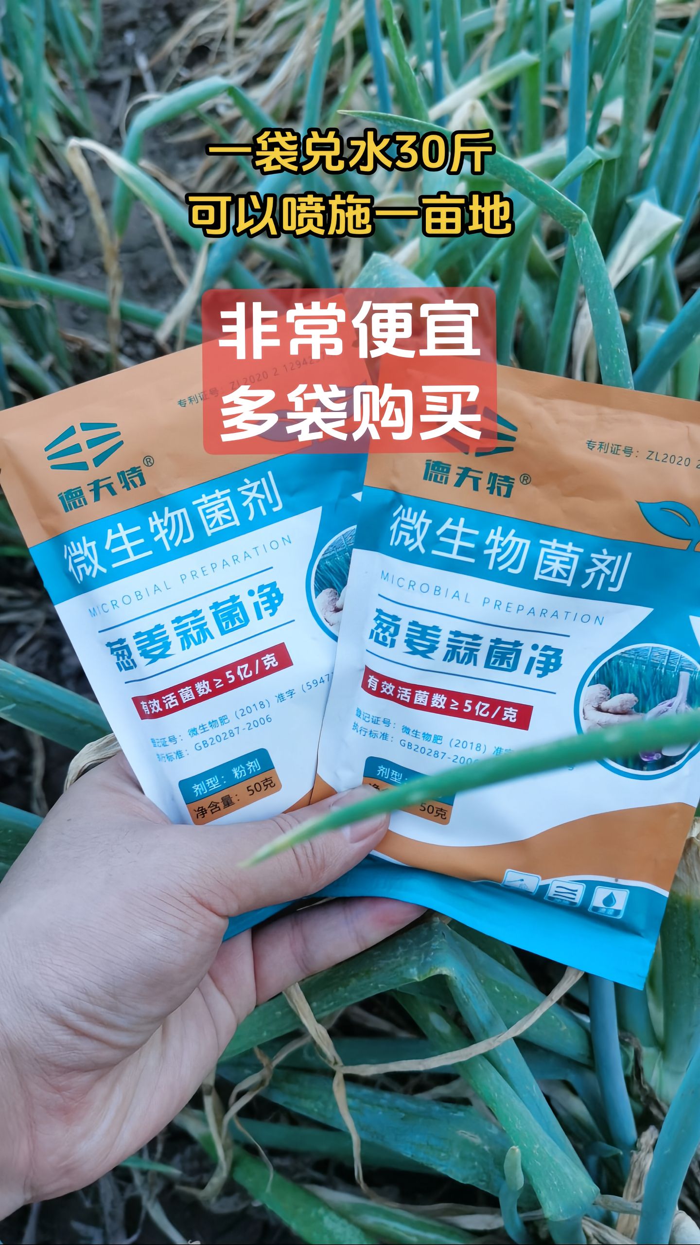 https://static.ixuenong.com/pxn/uploads/prod/thirdfile/2025/05/0ece98fd4afd9703dad88badb1352579.jpg