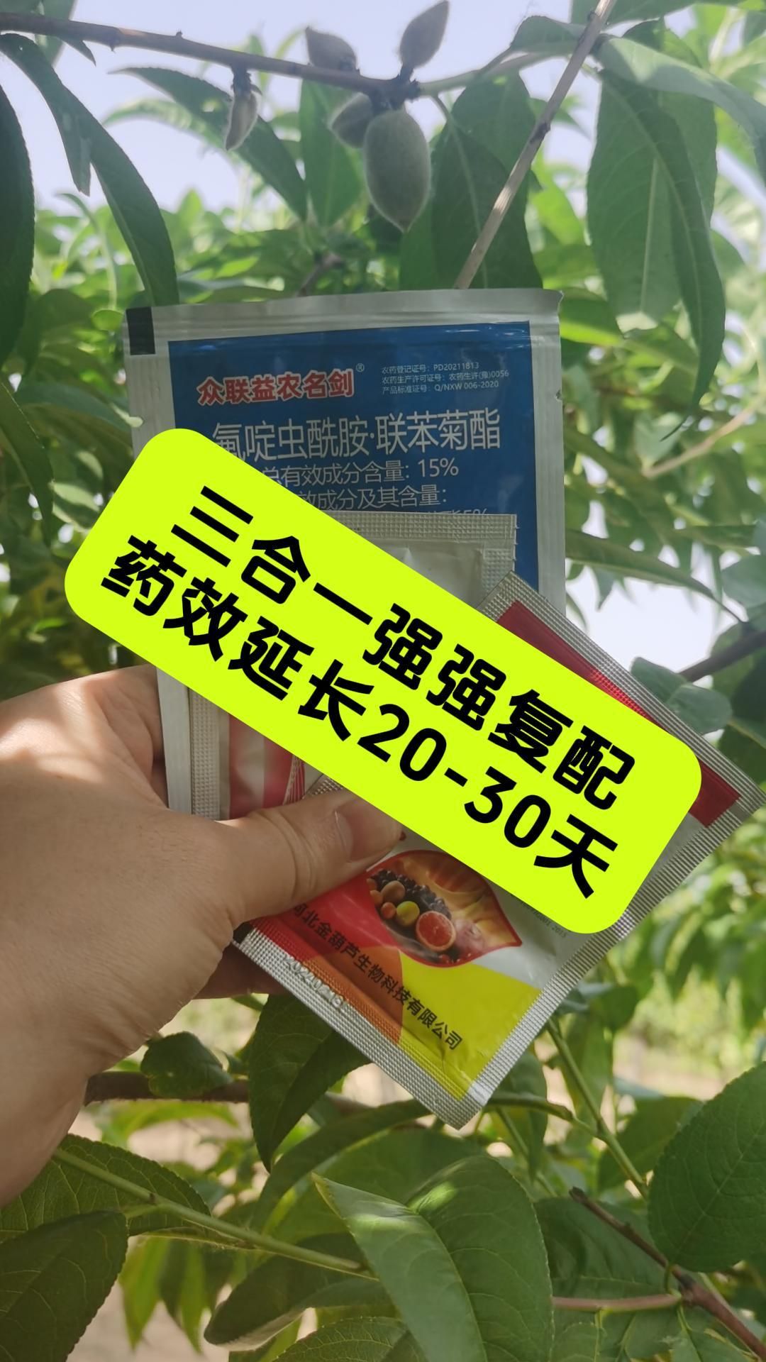 https://static.ixuenong.com/pxn/uploads/prod/thirdfile/2025/05/10d9d84894bf8cfb40be55737127bcc8.jpg
