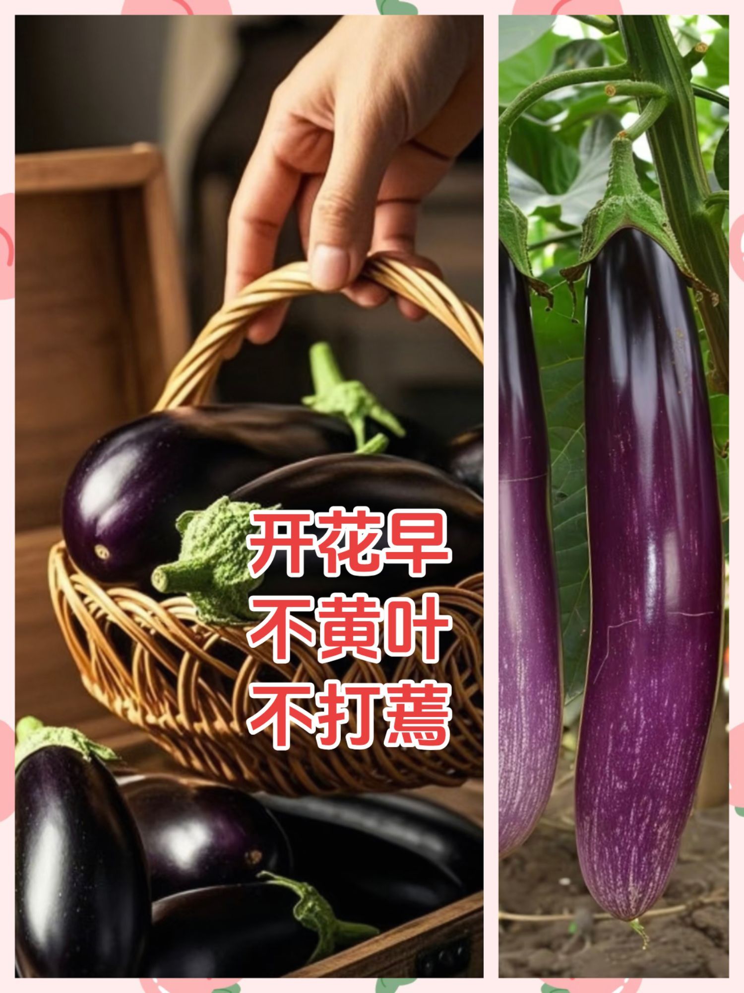 https://static.ixuenong.com/pxn/uploads/prod/thirdfile/2025/05/15bca151f864a56e7c30780ccda6186f.jpg