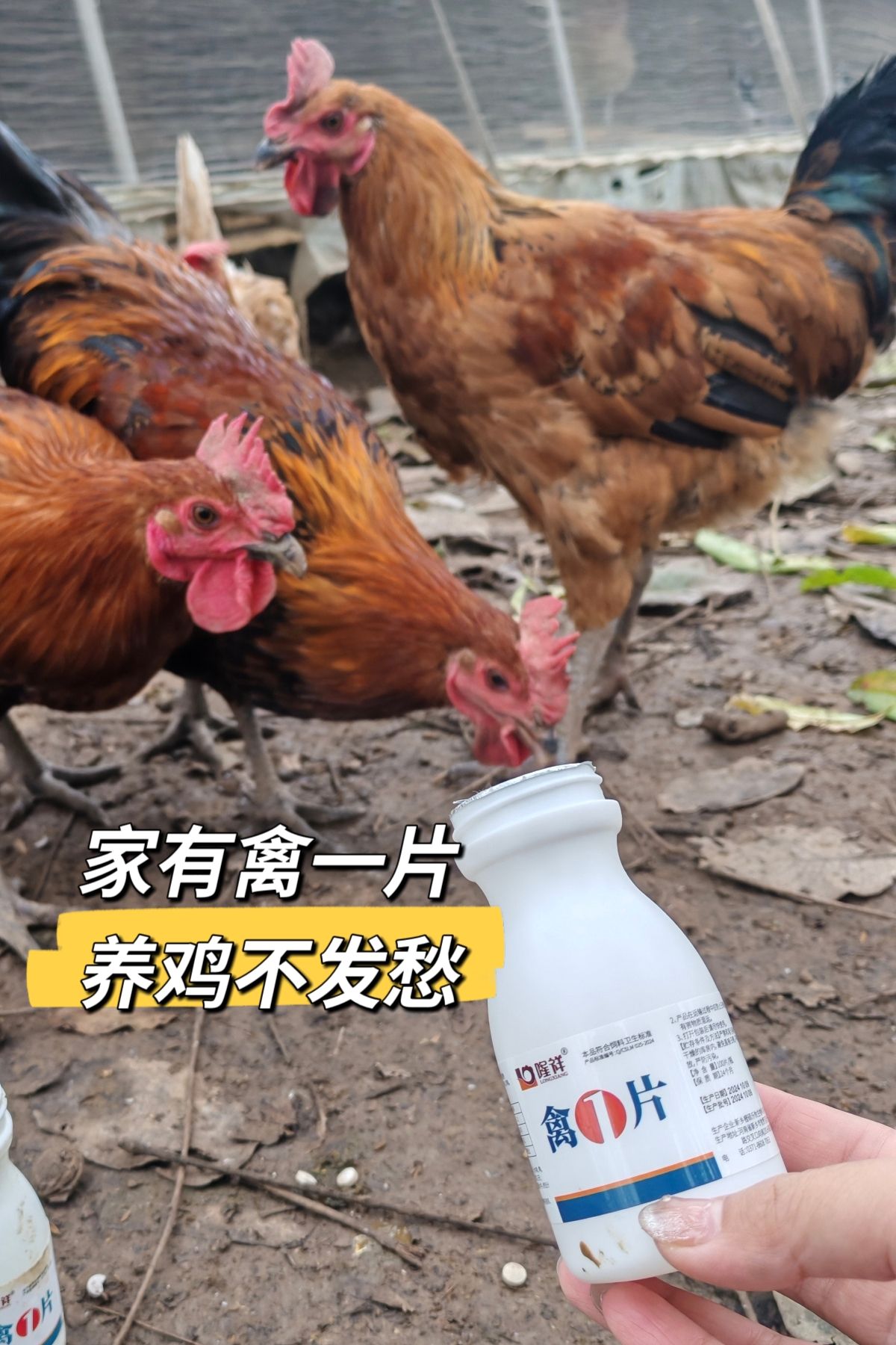 https://static.ixuenong.com/pxn/uploads/prod/thirdfile/2025/05/170b4ec334740a81b5b8d83989f8d99e.jpg