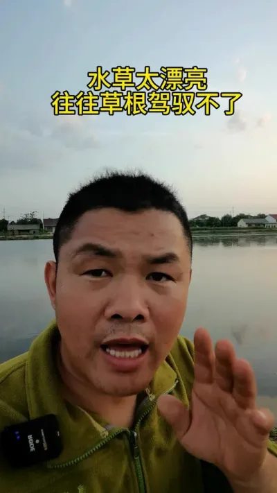 水草太漂亮，往往根部无法驾驭 #水产养殖 #河蟹养殖