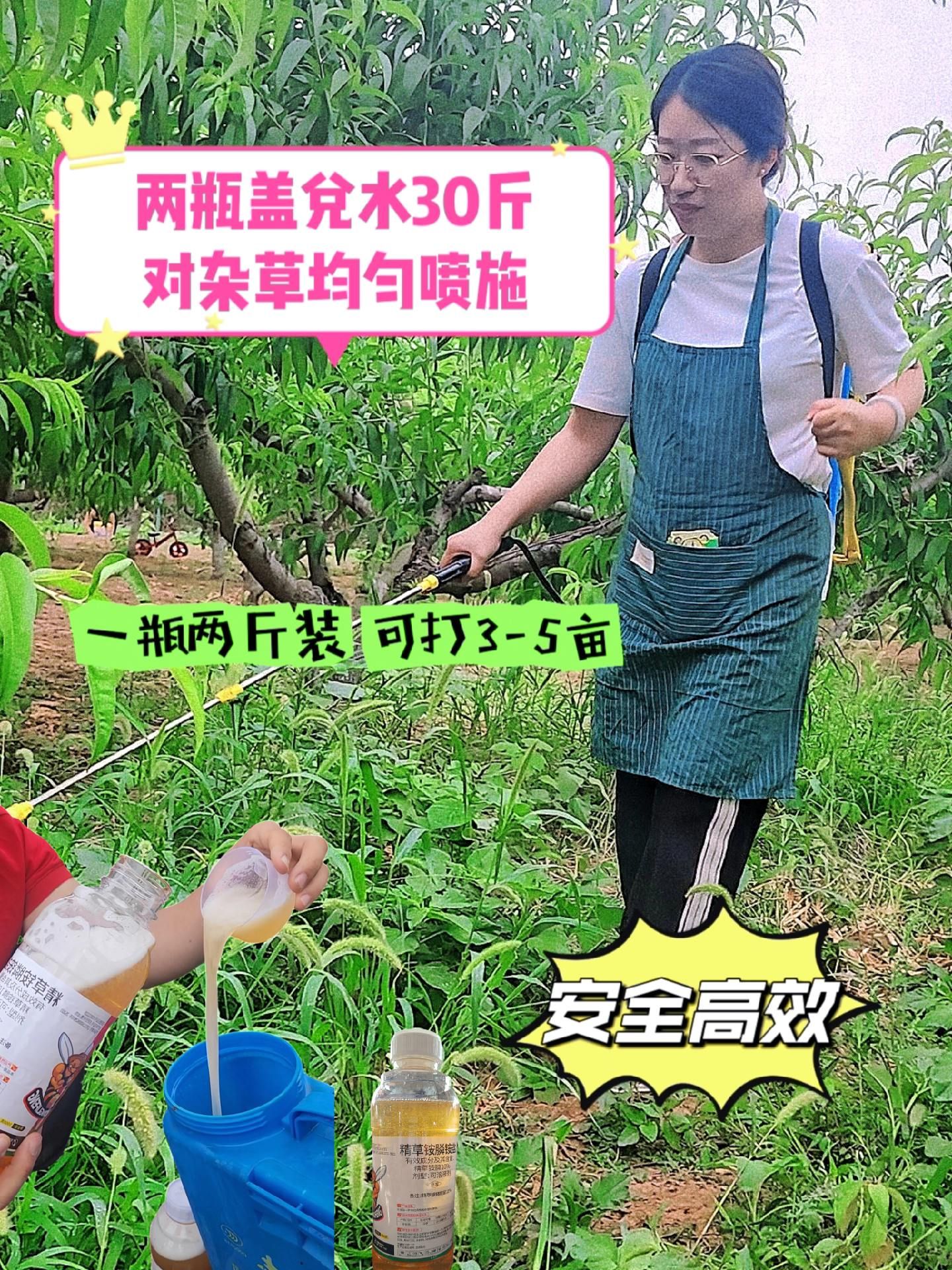 https://static.ixuenong.com/pxn/uploads/prod/thirdfile/2025/05/195564cbe36a0280c01943bb7c5b209a.jpg
