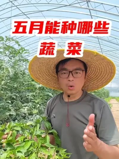 五月能种哪些蔬菜？ #五一 #五一劳动节 #种菜 #我的小菜园 #抖音助农