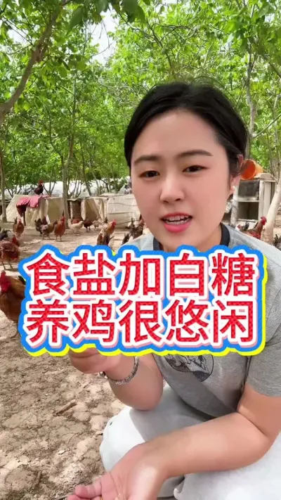 #鸡鸭鹅养殖 #抖音养鸡人 #养鸡人 #散养土鸡 #服务三农支持三农
