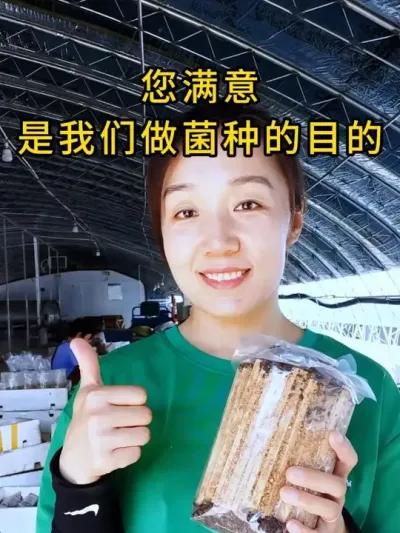 想要蘑菇好看，菌种要选对，大型基地都升级了这款挂浆枝条菌种，全国发货。#平菇种植 #平菇菌种 #食用菌栽培种 #栽培种