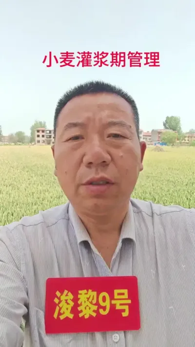 Сཬڹ#Сݪֲ#Сݪֲ #ũ#ũ