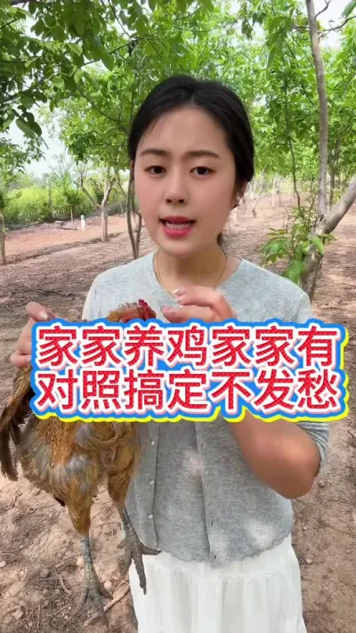 #科学养鸡 #鸡鸭鹅养殖 #服务三农支持三农 #养殖小妙招 #抖音养鸡人
