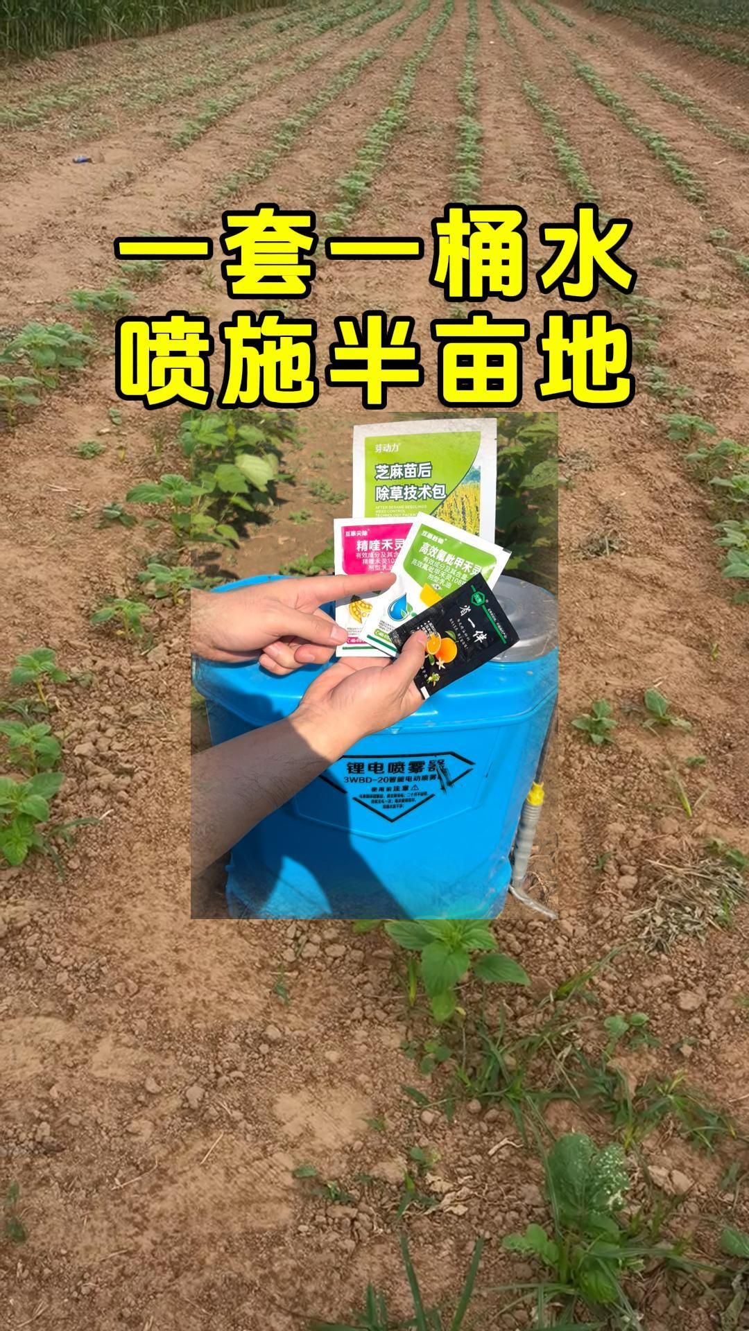 https://static.ixuenong.com/pxn/uploads/prod/thirdfile/2025/05/21d1fef683d06cc1ae1b6c8f72f68645.jpg