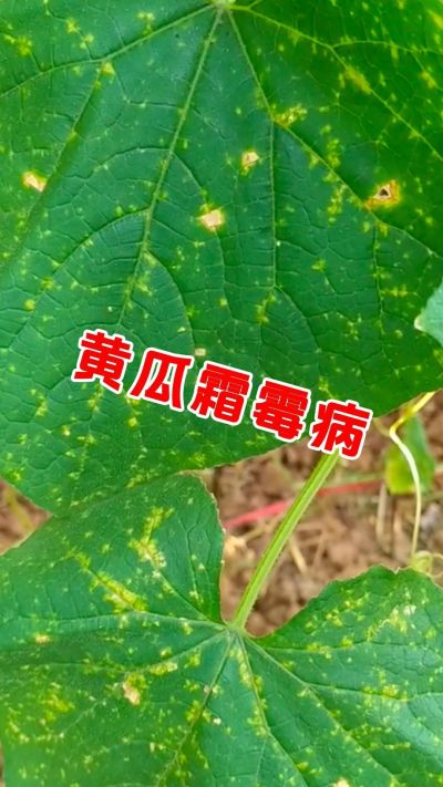 ũﲡ䷽# #ɱ #溦 #ũ