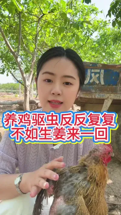 #科学养鸡 #服务三农支持三农 #鸡鸭鹅养殖 #抖音养鸡人 #养殖小妙招