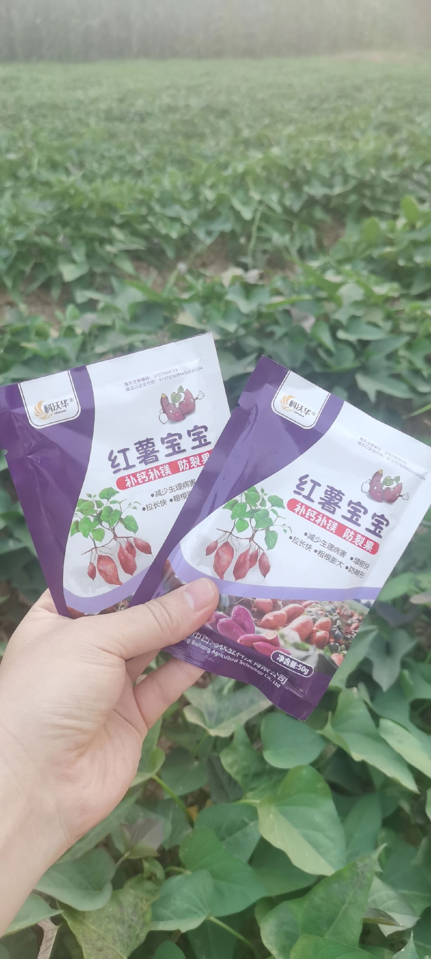 https://static.ixuenong.com/pxn/uploads/prod/thirdfile/2025/05/245eb300d47cbb01bd840441d9973a95.jpg