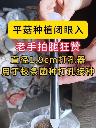老菇农拍腿狂赞，这款打孔神器可以闭眼入。#平菇种植 #打孔器 #菌种打孔器