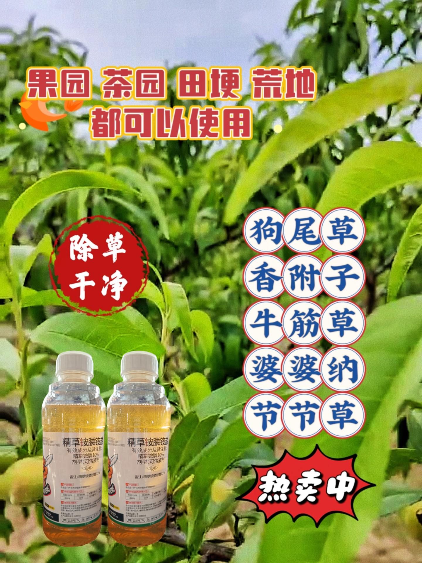 https://static.ixuenong.com/pxn/uploads/prod/thirdfile/2025/05/2537f644155008a024ef602382ae1665.jpg