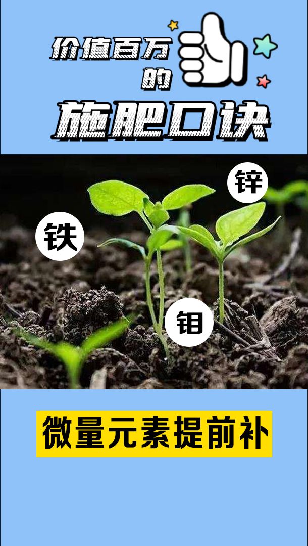 https://static.ixuenong.com/pxn/uploads/prod/thirdfile/2025/05/2aad10ae8a146a0a1d0d8a7deb009dcc.jpg