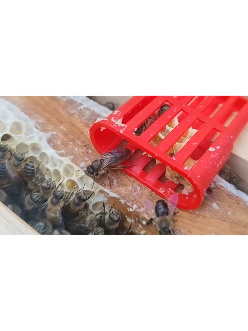 https://static.ixuenong.com/pxn/uploads/prod/thirdfile/2025/05/2c81366024512b493661345a80c9fe1c.jpg