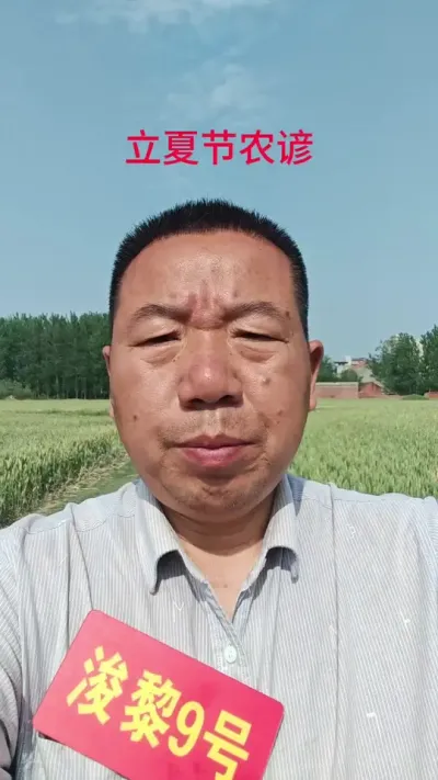 明天就是立夏节了，老祖宗留下的谚语，大家看看准不准？#农业谚语#民间谚语节气#三农#抖音助农