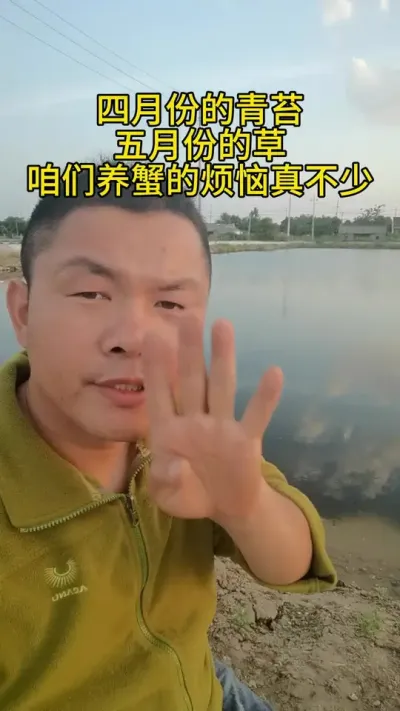 四月份的青苔五月份的草 #水产养殖 #河蟹养殖