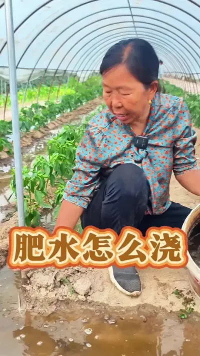 肥水怎么浇 肥水怎么浇#发酵肥水 #三农种植 #土壤改良 #蔬菜种植 #生菜杨姐 @DOU+小助手
