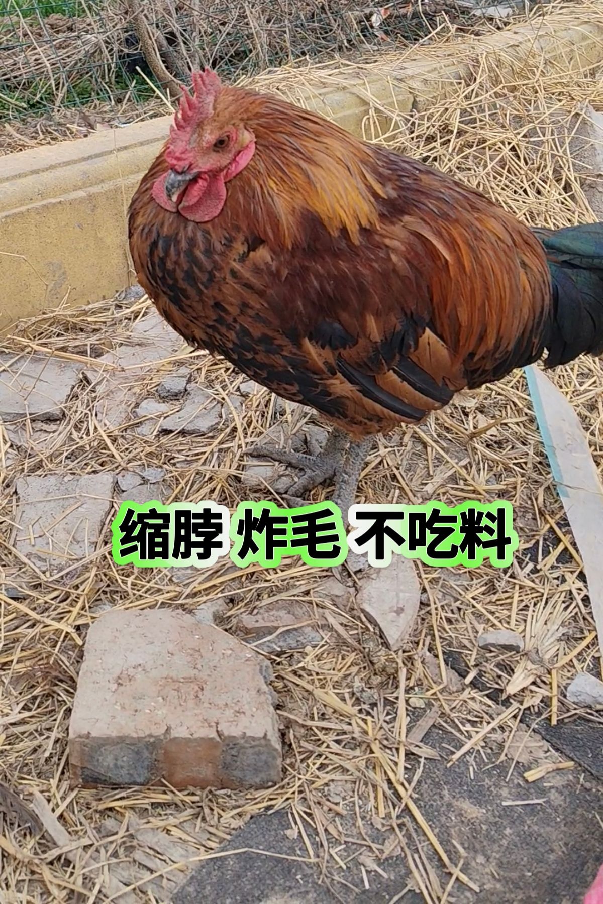 https://static.ixuenong.com/pxn/uploads/prod/thirdfile/2025/05/34e6af3b6616cb92dad6739e35874435.jpg