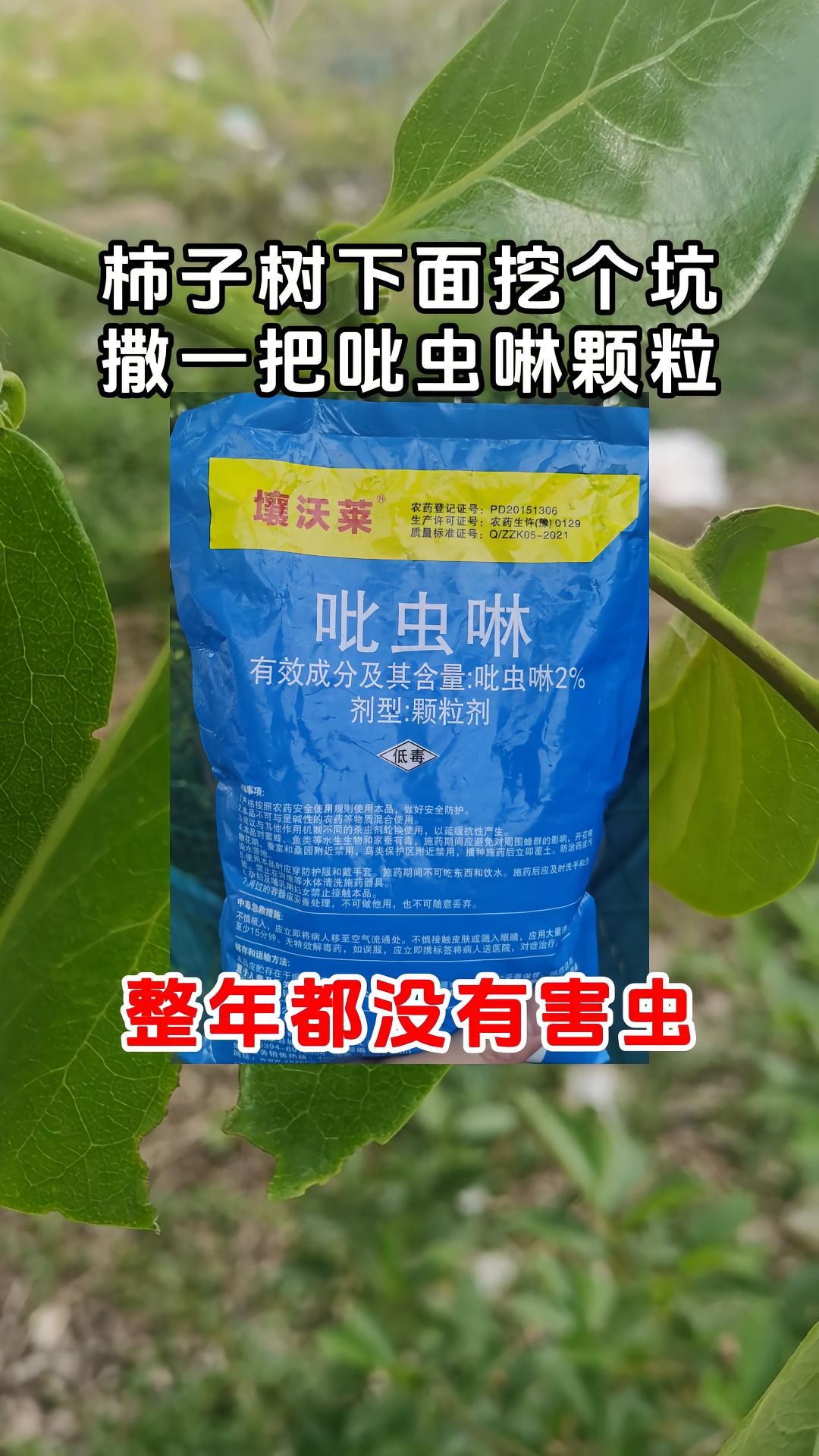 https://static.ixuenong.com/pxn/uploads/prod/thirdfile/2025/05/3713e0bca44e91565cff7bd0f84ccb1c.jpg