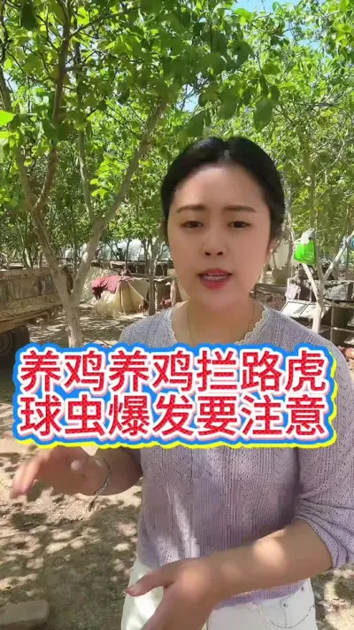 #鸡鸭鹅养殖 #科学养鸡 #服务三农支持三农 #抖音养鸡人 #养鸡人
