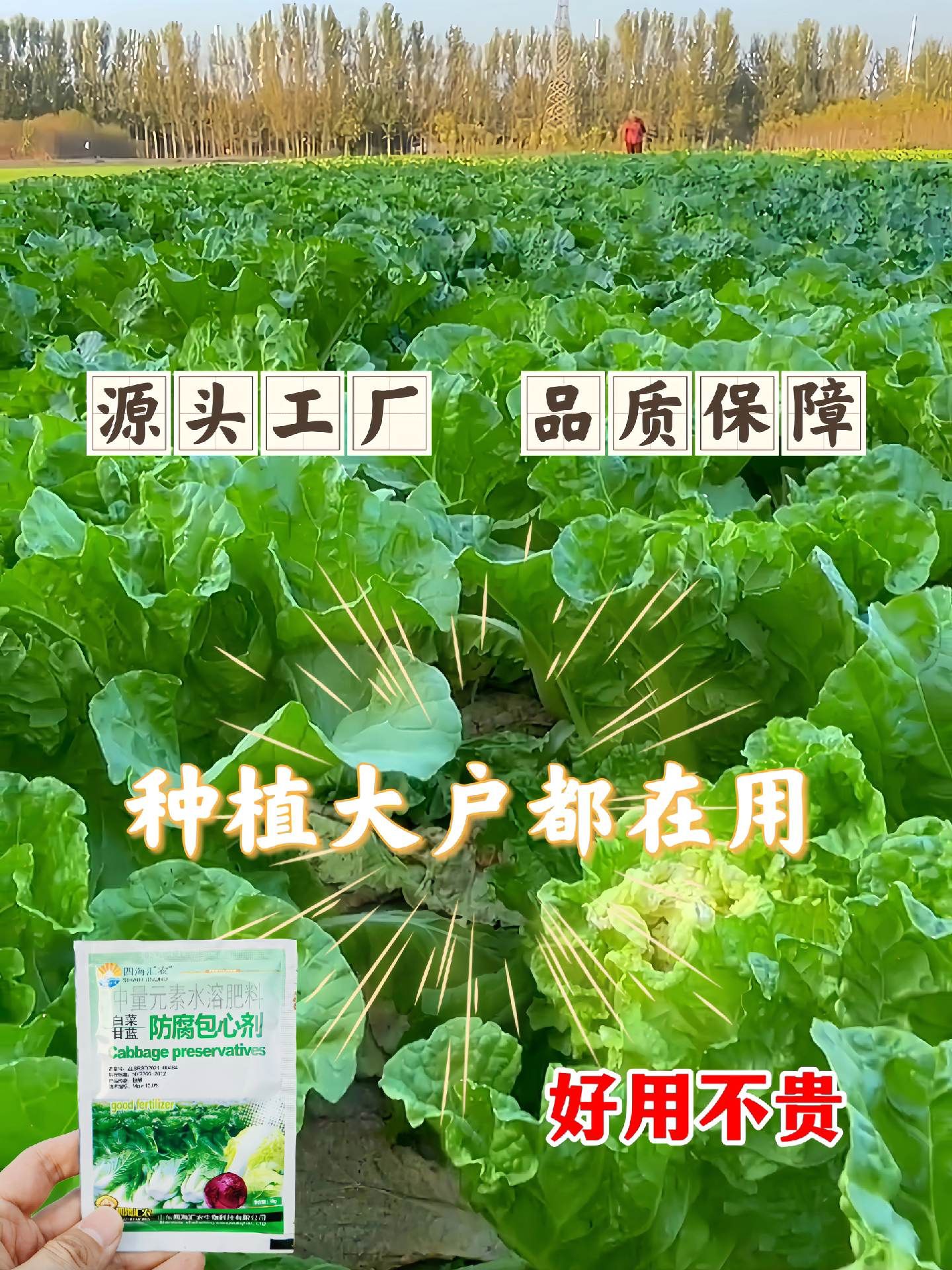 https://static.ixuenong.com/pxn/uploads/prod/thirdfile/2025/05/39f9ed76642eb90fdd88ae9766105e98.jpg