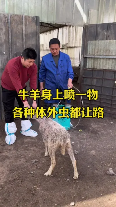 ţ��������һ�������ּ����涼��·#������ #����� #ţ��ҩԡ