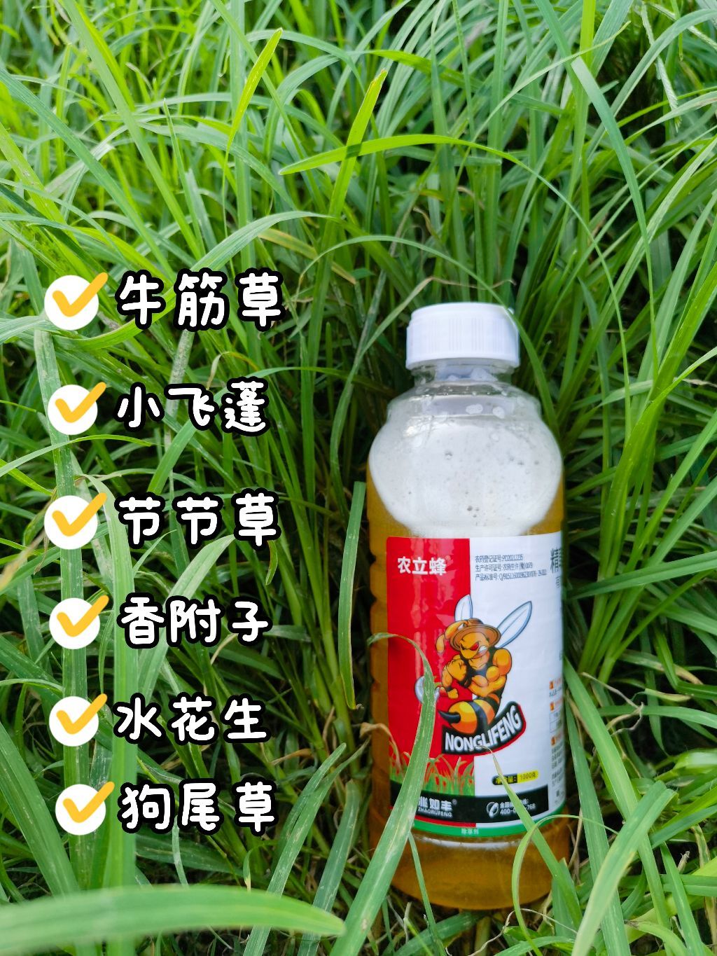 https://static.ixuenong.com/pxn/uploads/prod/thirdfile/2025/05/3c0635b9814b04e2e2caa5165f27bacf.jpg