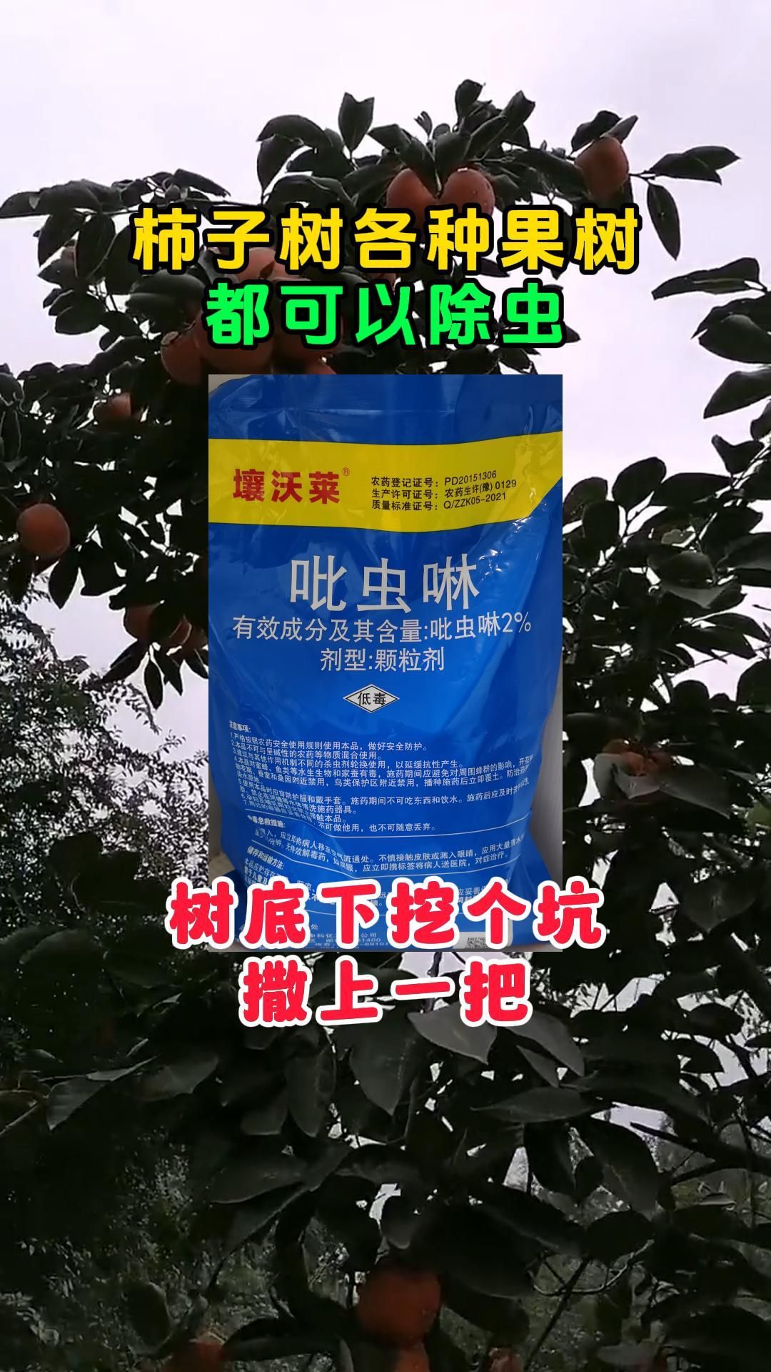 https://static.ixuenong.com/pxn/uploads/prod/thirdfile/2025/05/3c6e0f510c6fbec06a8f43736c790b50.jpg