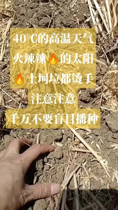 עػҪäĿ#ֵؽֹ 