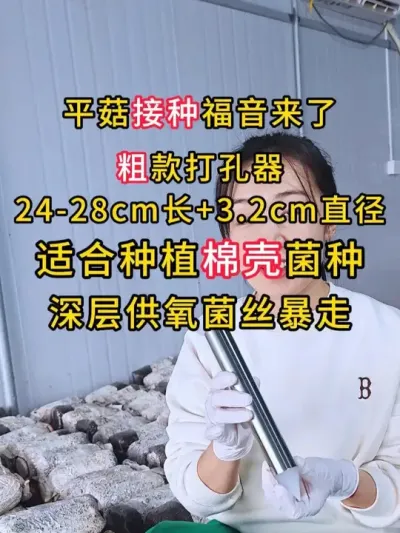 平菇棉壳菌种打孔接种福音来了，这款粗打孔器，深层供氧菌丝暴走，快快接福！#平菇种植 #打孔器 #菌种打孔器
