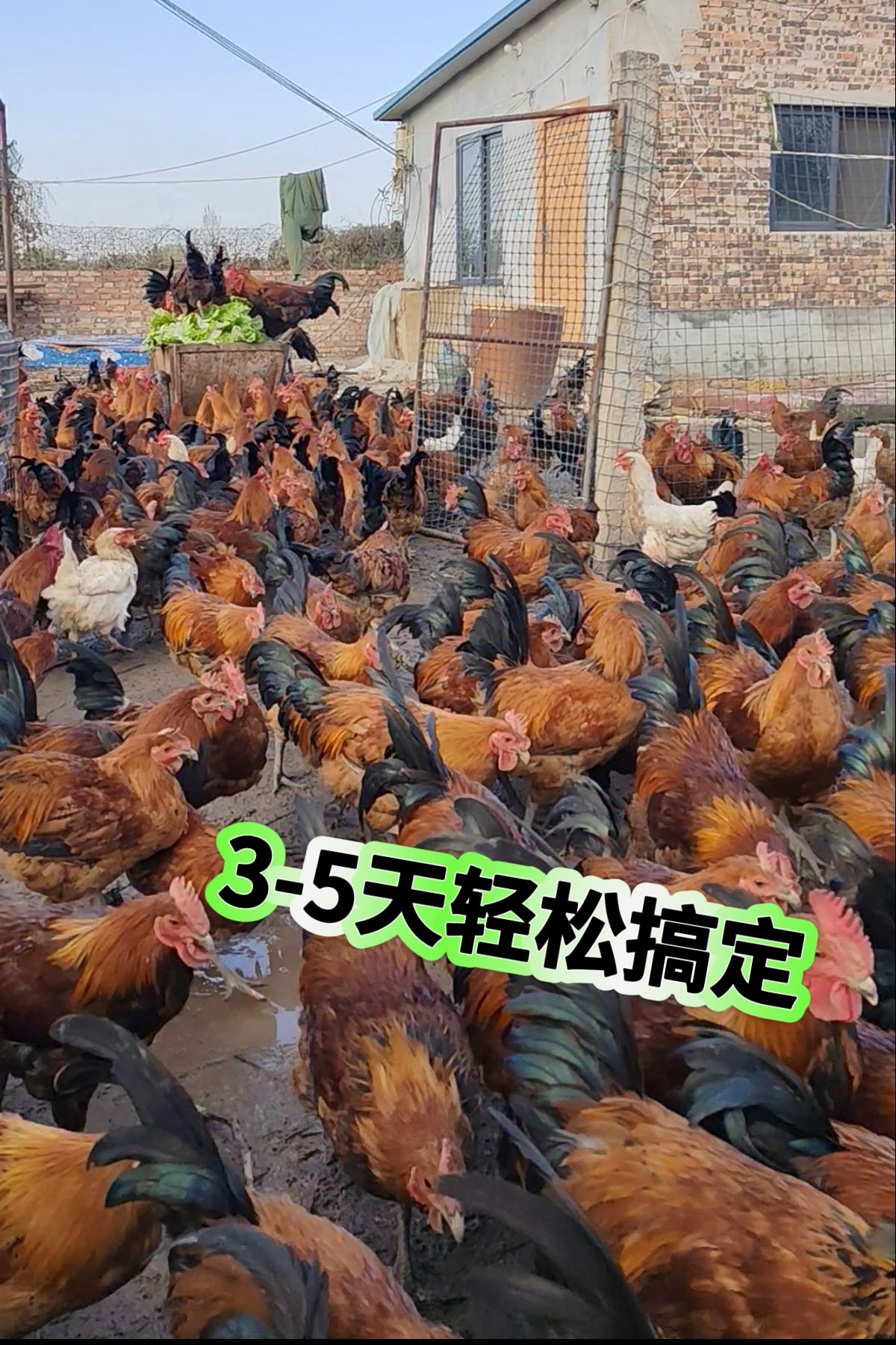 https://static.ixuenong.com/pxn/uploads/prod/thirdfile/2025/05/4104ddf3ebf32f77c83d02faac1c66d6.jpg