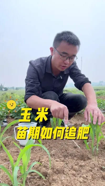 ������������׷����#�ڼ��ֲ� #ѧ�ֲ� #ݪֲС���� #�ֲ�С���� #ũ�����