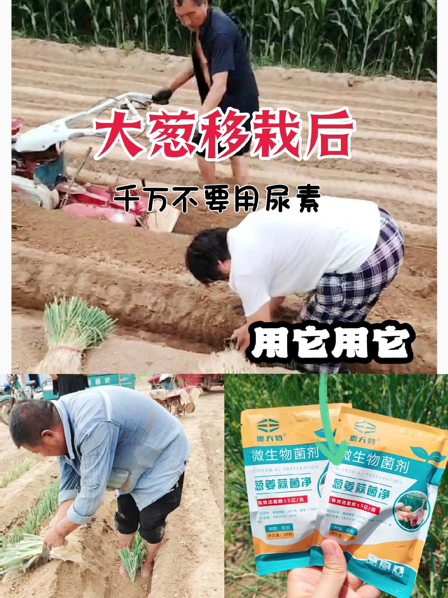 https://static.ixuenong.com/pxn/uploads/prod/thirdfile/2025/05/4895cf214d9b550312ff332a6c036b84.jpg