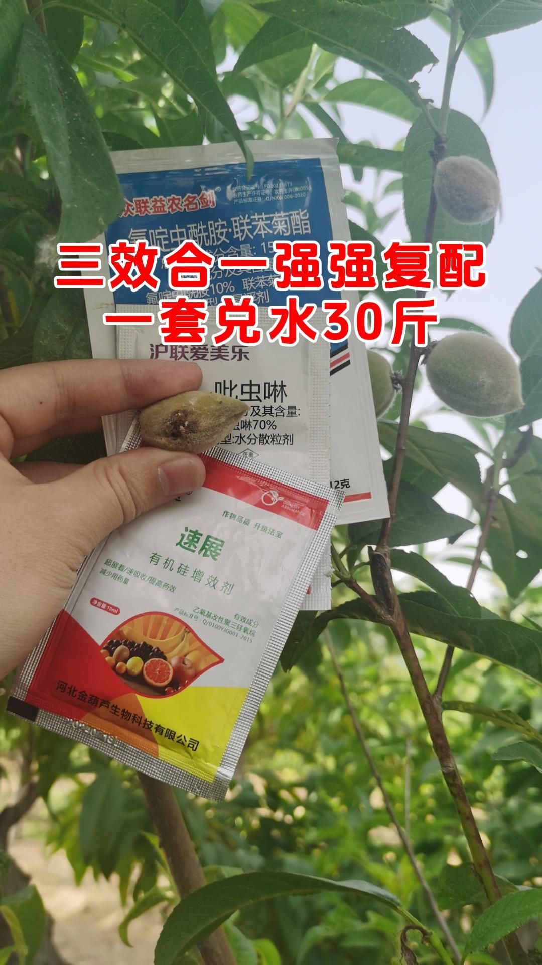 https://static.ixuenong.com/pxn/uploads/prod/thirdfile/2025/05/48f5fac4b688ca7edc57b905c70880da.jpg