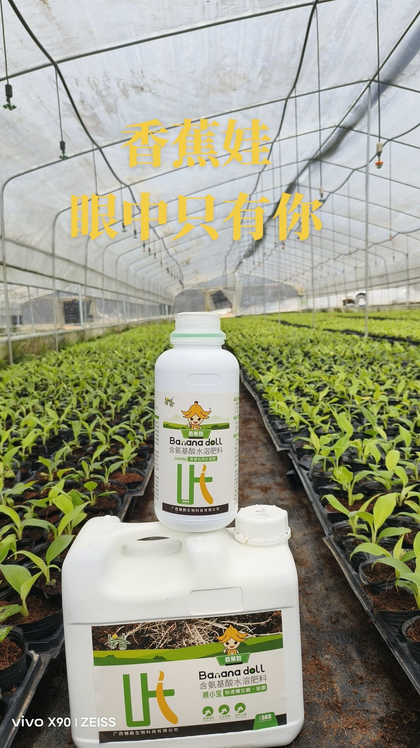 https://static.ixuenong.com/pxn/uploads/prod/thirdfile/2025/05/4e89709ff732804d0a7b456874f53457.jpg