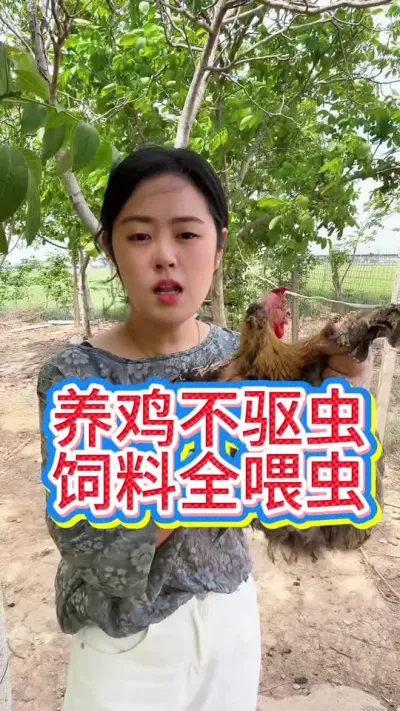 #科学养鸡 #服务三农支持三农 #抖音养鸡人 #鸡鸭鹅养殖 #养鸡人